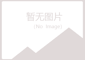 宝山区冰枫教育有限公司